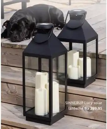 Lucy solar lanterne