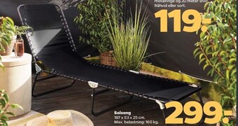 Solseng