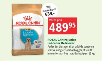 Royal canin hundefoder