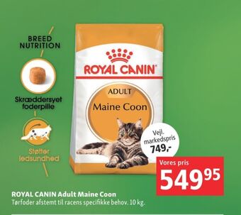 Royal canin kattefoder