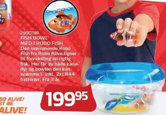 Fish Bowl Med 1 Robo Fish