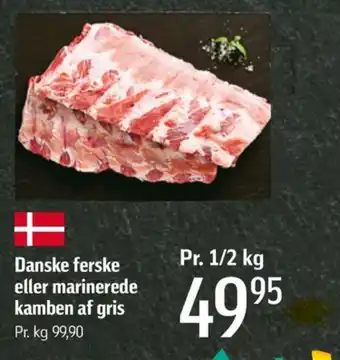Princip kamben