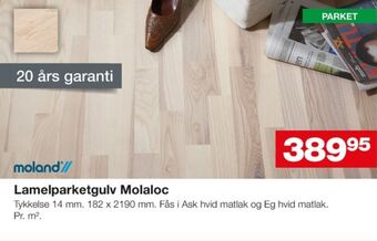 Moland lamelparket