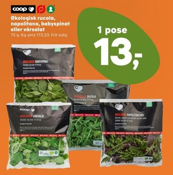 SuperBrugsen Coop c salat tilbud