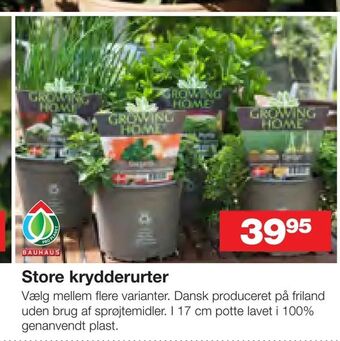 Bauhaus Store krydderurter tilbud