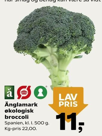 Dagli'Brugsen Änglamark økologisk broccoli tilbud