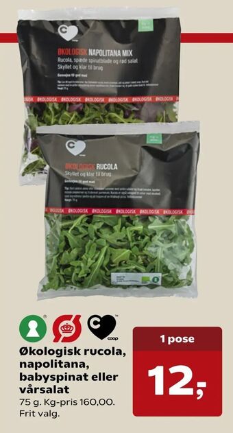 Dagli'Brugsen Økologisk rucola, napolitana, babyspinat eller vårsalat tilbud