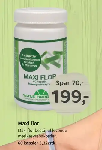 Maxi flor