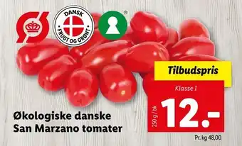 Økologiske danske San Marzano tomater