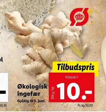 Let-Køb Økologisk ingefær tilbud