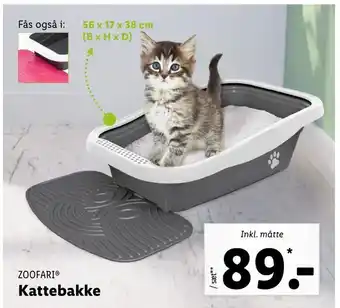 Kattebakke