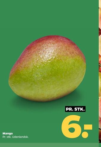 Netto Mango tilbud