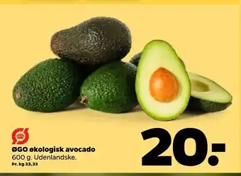 ØGO økologisk avocado