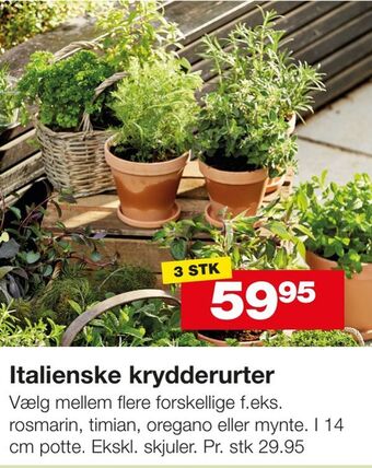 Bauhaus Italienske krydderurter tilbud