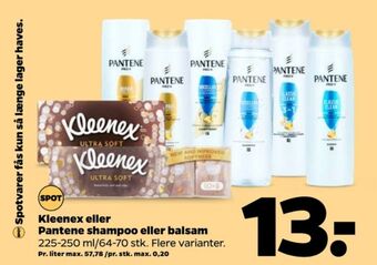 Netto Pantene pro-v shampoo tilbud