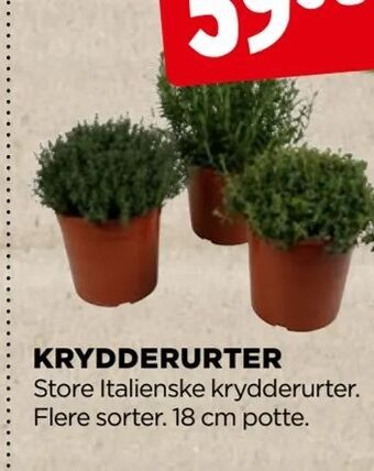 jem & fix Krydderurter tilbud