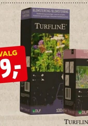 Blomstereng