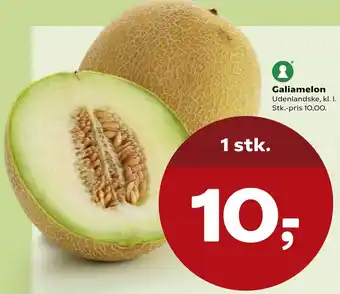 Galiamelon 1 Stk.