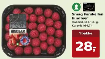 Smag Forskellen Hindbær 170 g