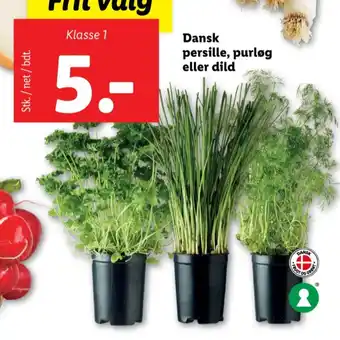 Lidl Grillmester krydderurter tilbud