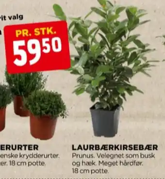 jem & fix Weber planter tilbud