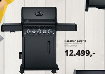 Napoleon gasgrill