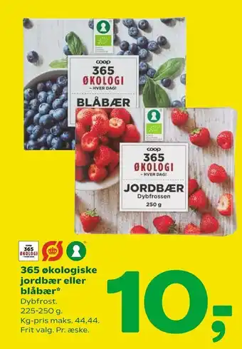Coop 365 365 økologiske jordbær eller blåbær tilbud