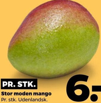 Netto Stor Moden Mango tilbud