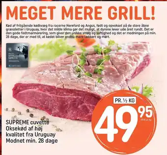 REMA 1000 Cubette oksekød tilbud
