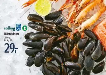 Føtex Blåmuslinger 1000g tilbud