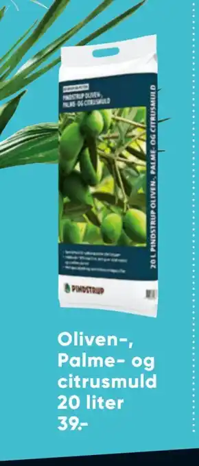 Bilka Oliven-, Palme- og citrusmuld tilbud
