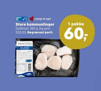 Store kammuslinger