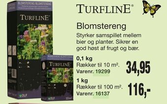 Harald Nyborg Blomstereng tilbud