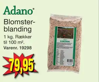 Harald Nyborg Adano frø tilbud