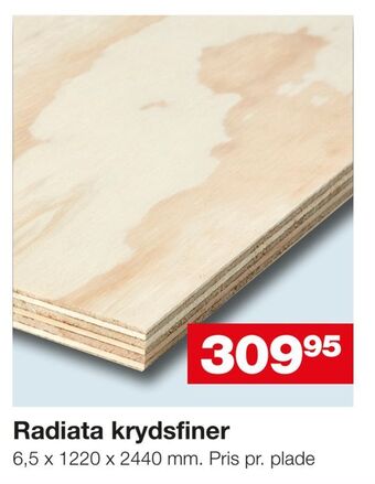 Bauhaus Radiata krydsfiner tilbud