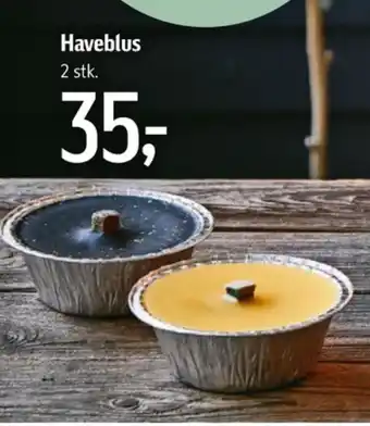 Føtex Jamie oliver haveblus tilbud