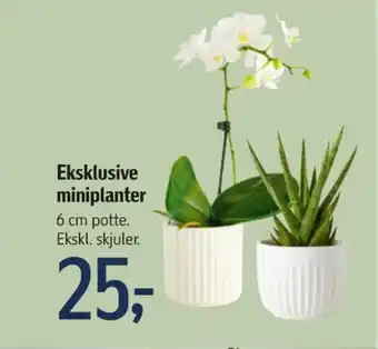 Føtex Nilfisk planter tilbud