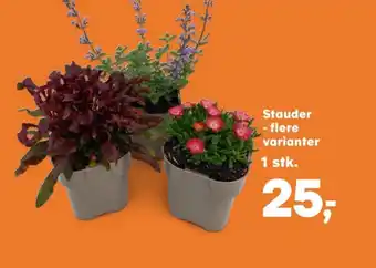 Kvickly Coop planter tilbud