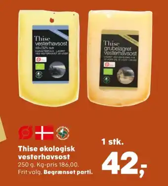 Thise skæreost grubelagret vesterhavsost