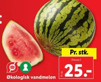 Lidl Bon gelati vandmelon tilbud