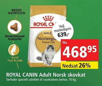 Maxi Zoo ROYAL CANIN Adult Norsk skovkat tilbud
