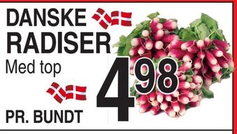 Radiser