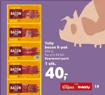 SuperBrugsen Tulip bacon 5-pak tilbud