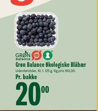 Grøn Balance Økologiske Blåbær