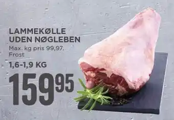 Lammekølle u. nøgleben
