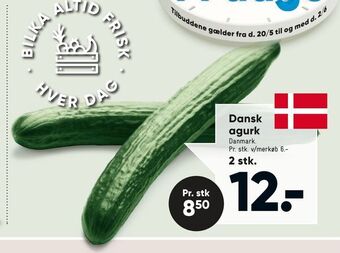 Bilka Dansk agurk tilbud