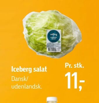 Iceberg salat