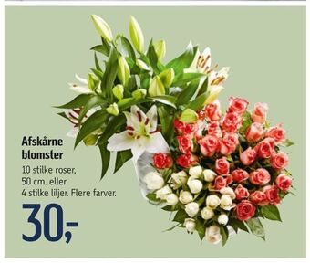 Afskårne blomster