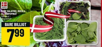 Løvbjerg Baby Salatmix, Rucola El. Babyspinat 100g tilbud