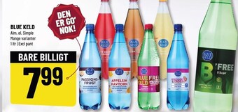 Løvbjerg Blue keld tilbud